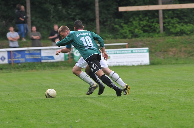 果有机会 果有机会