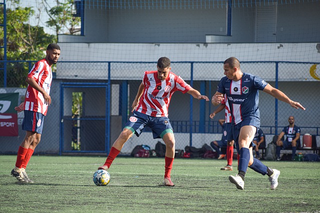 养和支持 养和支持