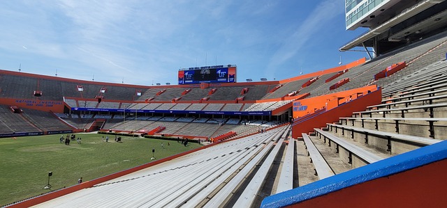 北京国安将 北京国安将