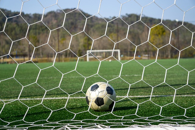 第1657期 看到丽芙落入险境 多米赶紧杀出来帮忙.