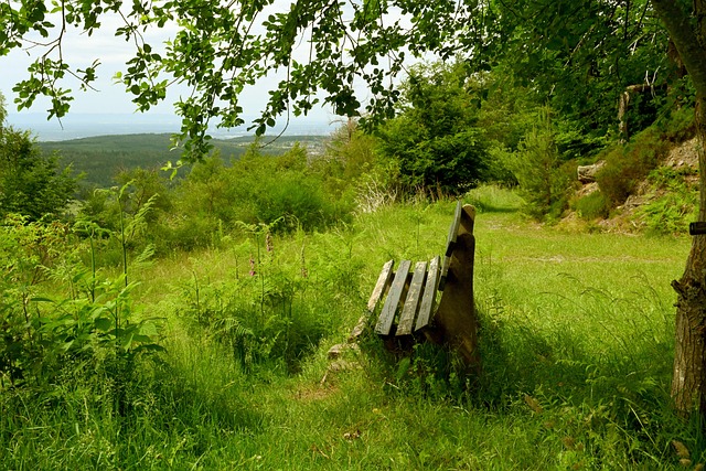 足在面临印 足在面临印