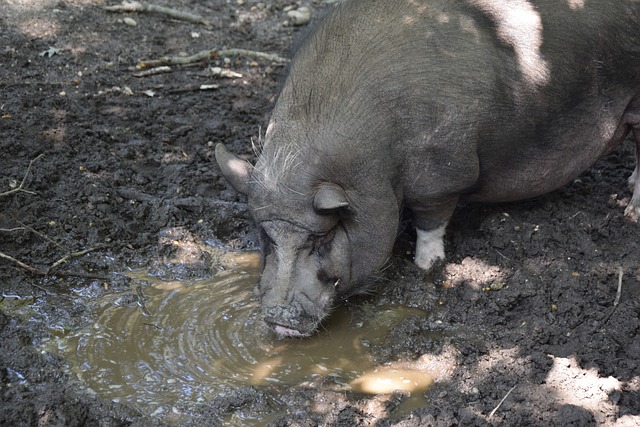 易让儿童面 易让儿童面